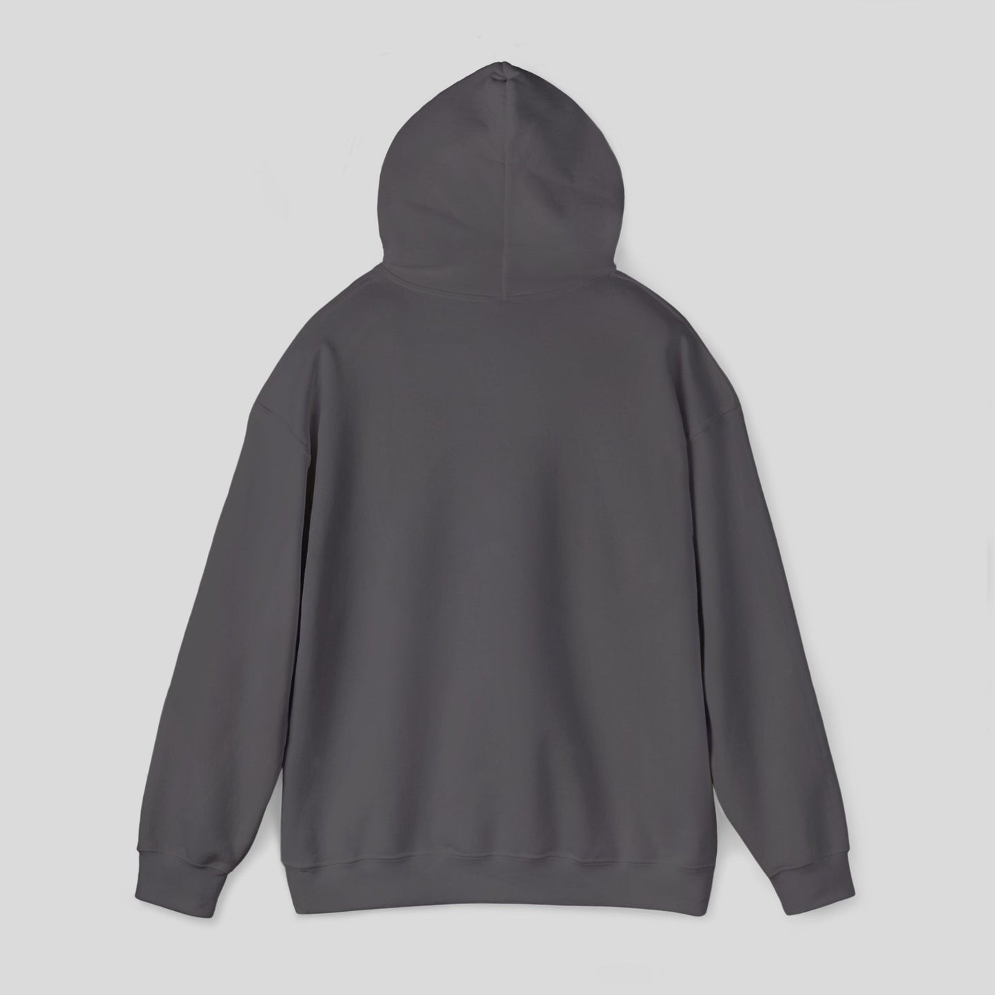 Hoodie: "Perseverance Mode"