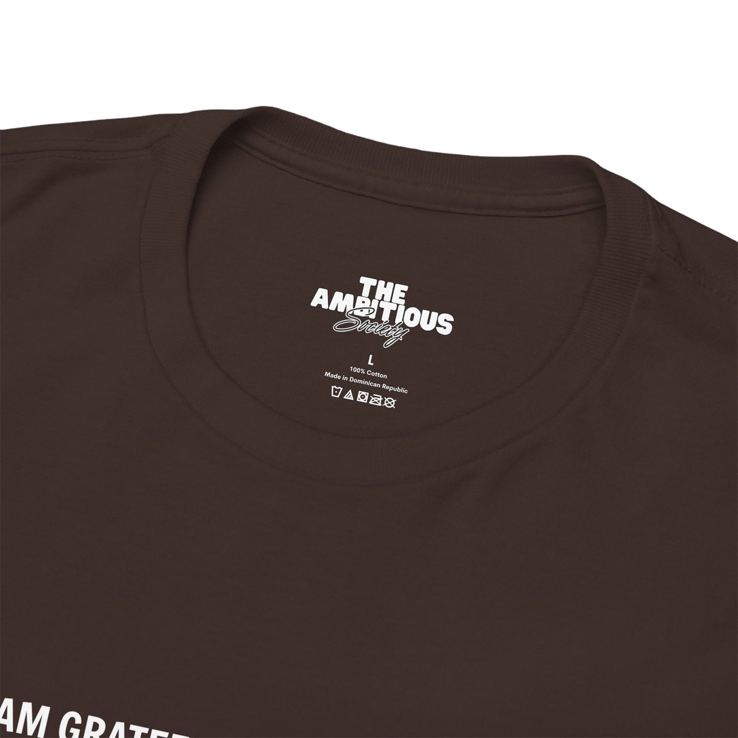 T-SHIRT: “Gratitude and Ambition Mode”