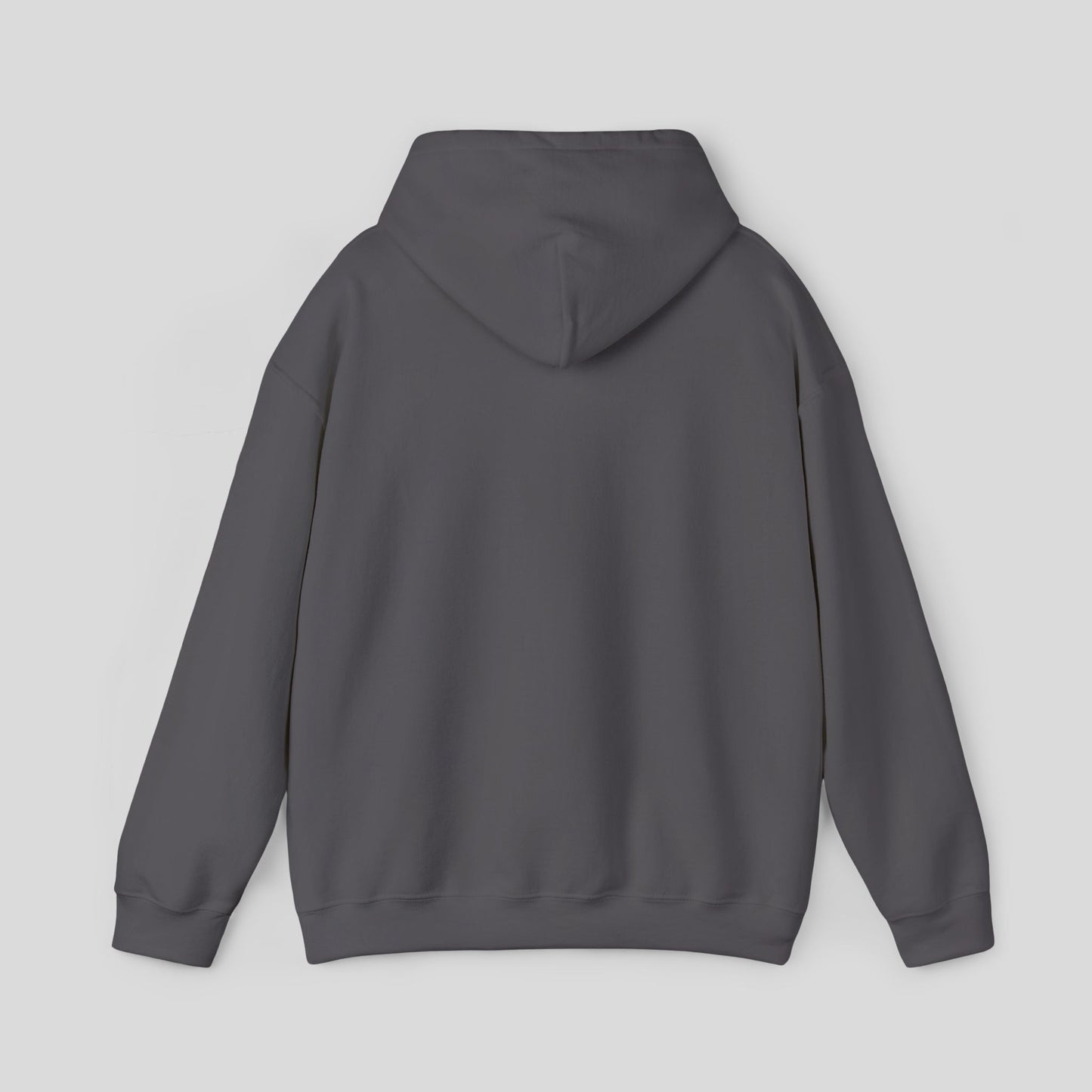 Hoodie: "Perseverance Mode"