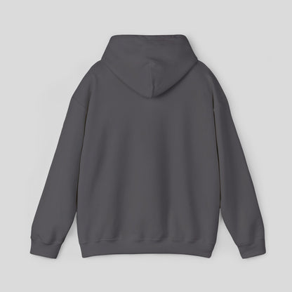 Hoodie: "Perseverance Mode"
