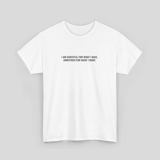 T-SHIRT: “Gratitude and Ambition Mode”