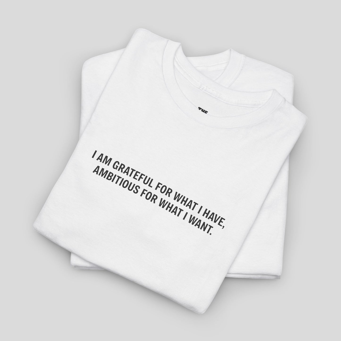 T-SHIRT: “Gratitude and Ambition Mode”