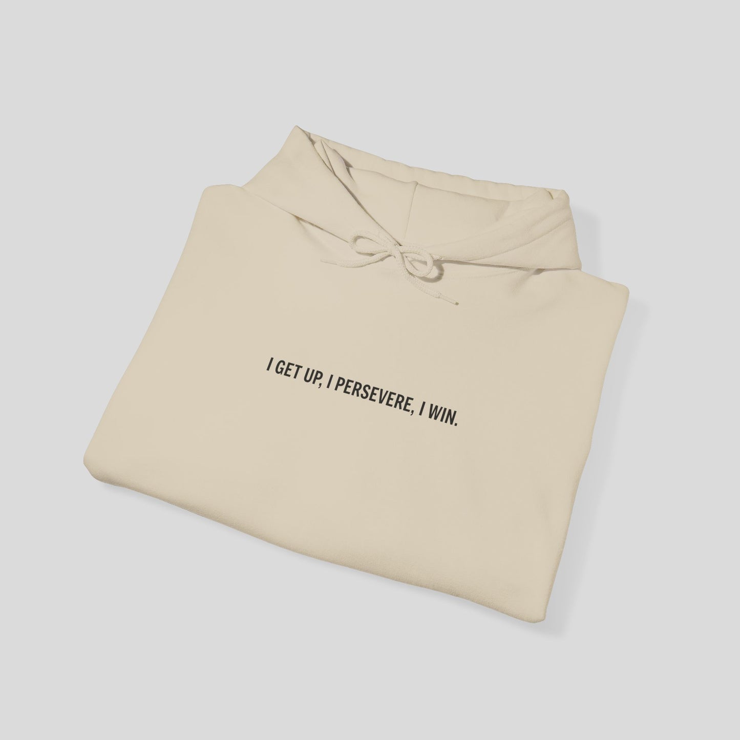 Hoodie: "Perseverance Mode"