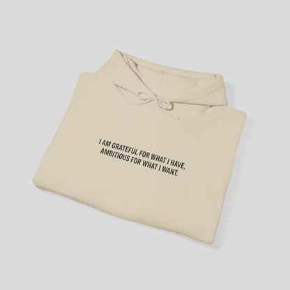 Hoodie: "Gratitude and Ambition Mode"